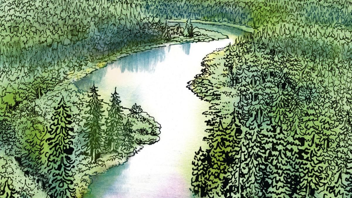 Home - Le Clan de Walden