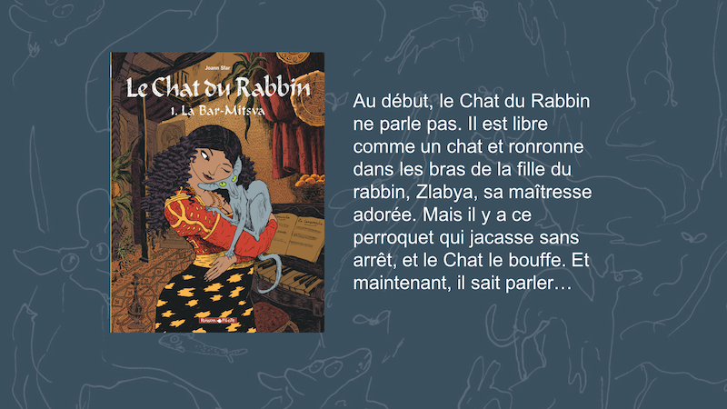 Résumé du Tome 1 du Chat du Rabbin