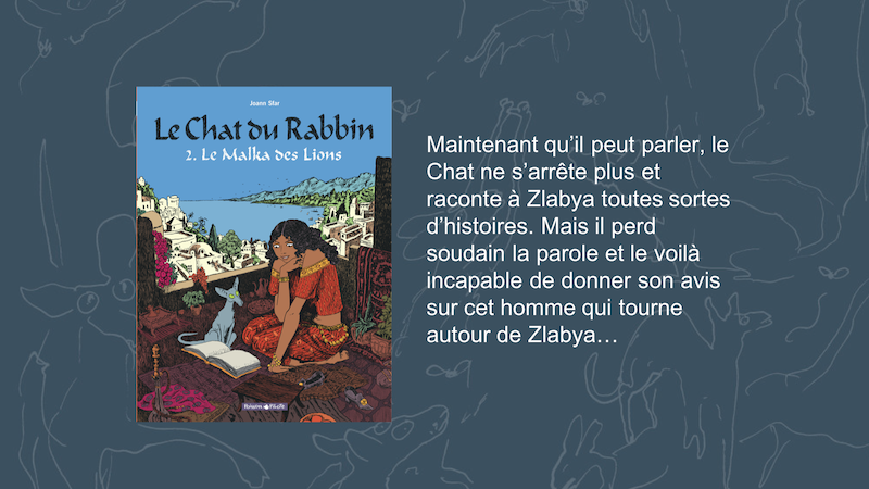 Résumé du Tome 2 du Chat du Rabbin