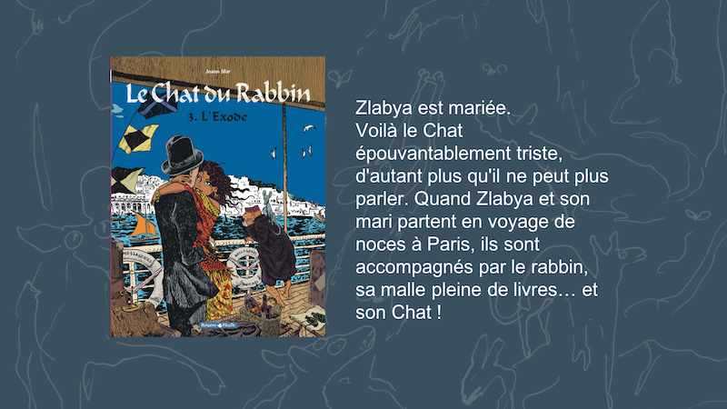 Résumé du Tome 3 du Chat du Rabbin