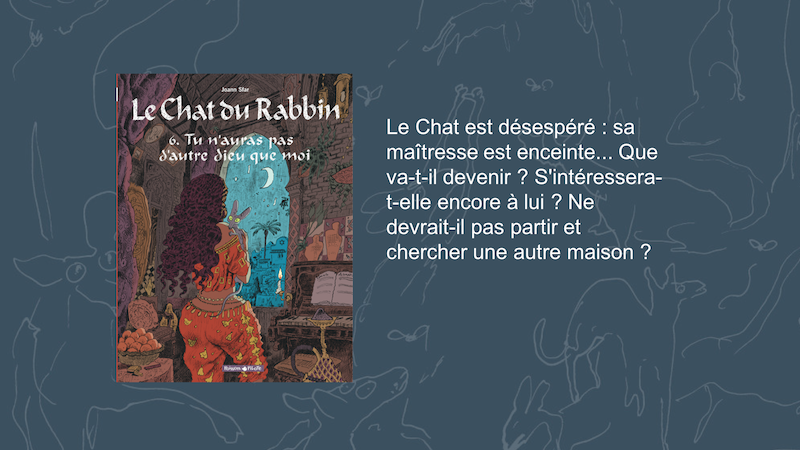 Résumé du Tome 6 du Chat du Rabbin