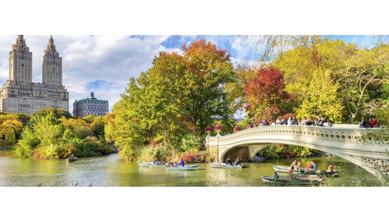 Central park NY