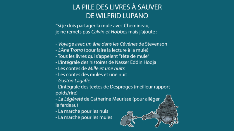 Les Piles des livres à sauver de Léonard Chemineau et Wilfrid Lupano