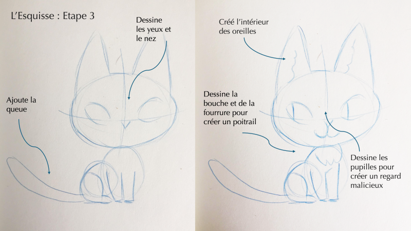 Dessiner un chat pas à pas