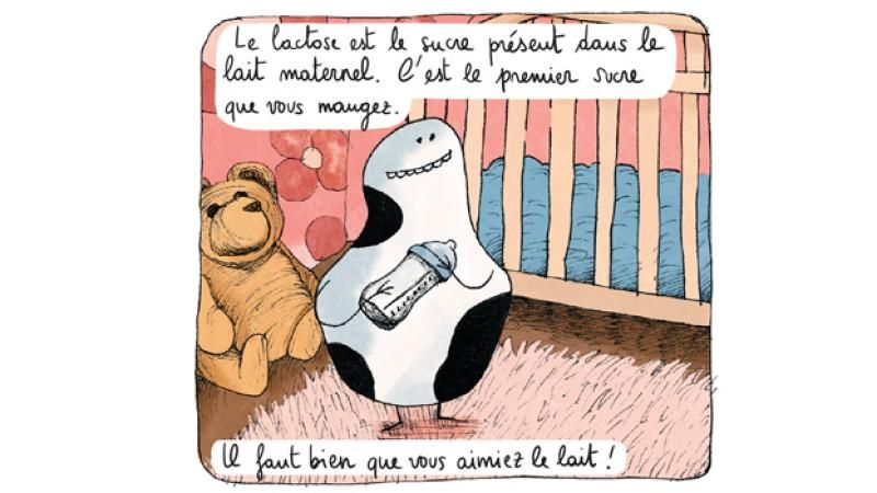 Extrait sucre 2