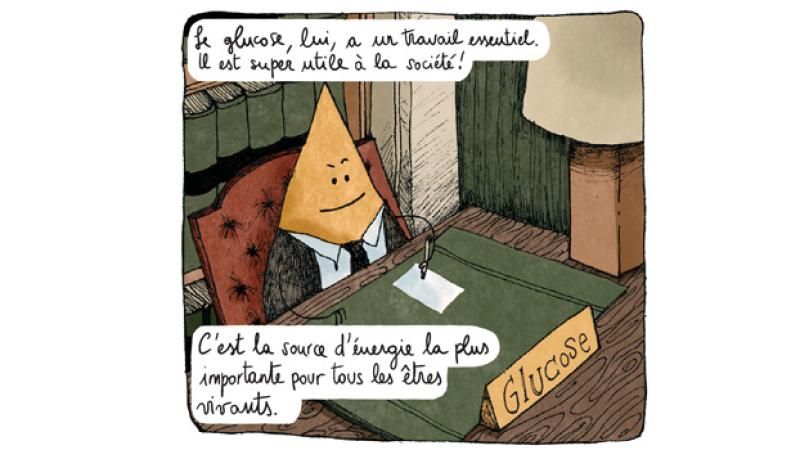 Extrait sucre 3
