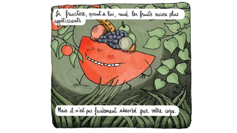 Extrait sucre 4