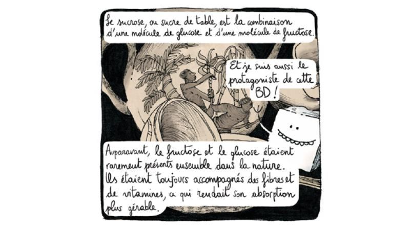 Extrait sucre 5
