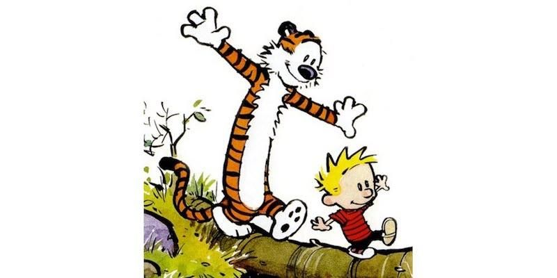 Calvin et Hoppes