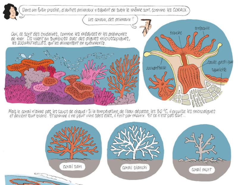 Extrait d'Extinctions, le crépuscule des espèces