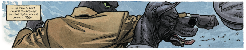 Blacksad Alors tout tombe seconde partie par Juan Diaz Canales et Juanjo Guarnido