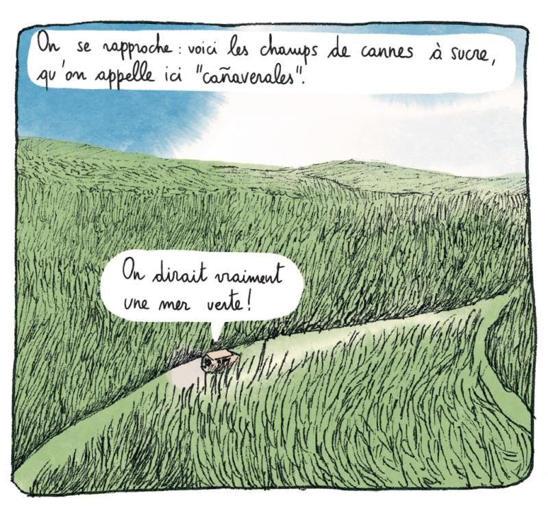 enquête sur le sucre