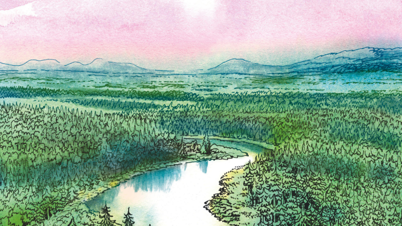 Clan de Walden - Ordi - 5