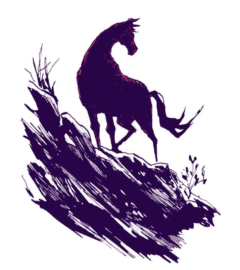 Montefiore - Illustration 