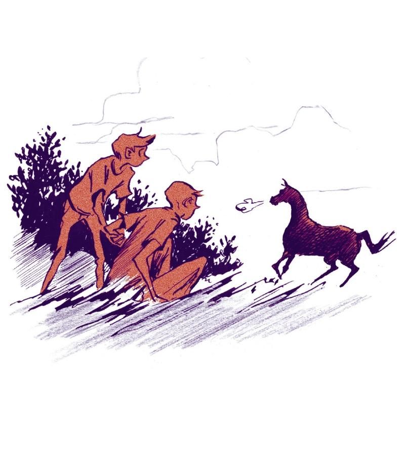Montefiore - Illustration 2
