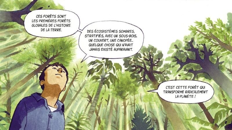 Forêts - Illu 3