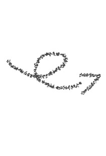 traces de pas
