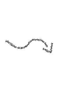 traces de pas
