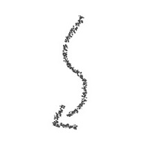traces de pas